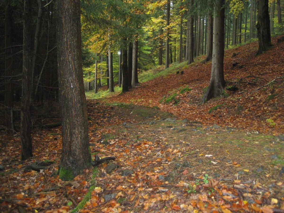 B&B A La Montagne Jáchymov Zewnętrze zdjęcie